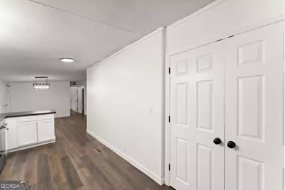 6220 Lee Lane, Clermont, GA 30527 - Photo 33