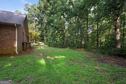 163 Jenkins Road, Tyrone, GA 30290 - Photo 49