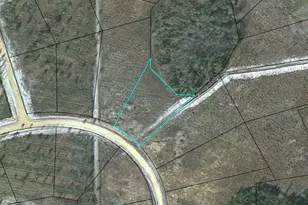 Lot 115 Pinecrest, Waynesville, GA 31566 - Photo 1