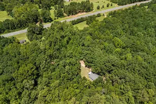 5301 Geneva Hwy, Talbotton, GA 31827 - Photo 5