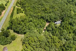 5301 Geneva Hwy, Talbotton, GA 31827 - Photo 3