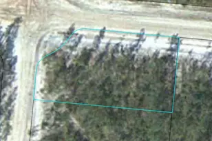 Lot 11 Satilla Plantation, Waynesville, GA 31566 - Photo 1