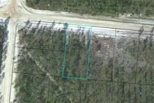 Lot 12 Satilla Plantation, Waynesville, GA 31566 - Photo 1