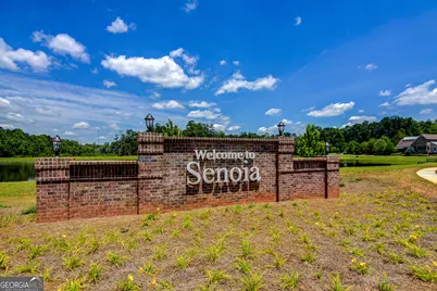 305 Mary Delores Court, Senoia, GA 30276 - Photo 67