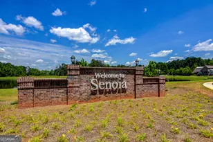 305 Mary Delores Ct, Senoia, GA 30276 - Photo 67