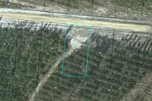 Lot 70 Satilla Plantation, Waynesville, GA 31566 - Photo 1