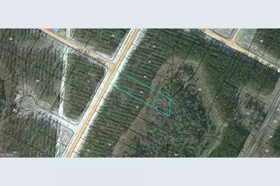 92 Satilla Plantation, Waynesville, GA 31566 - Photo 1