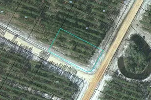 Lot 172 Satilla Plantation, Waynesville, GA 31566 - Photo 1