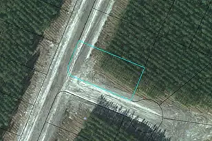 Lot 69 Eagles Crest, Waynesville, GA 31566 - Photo 1