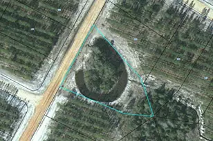 Lot 143 Satilla Plantation, Waynesville, GA 31566 - Photo 1