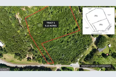 Tract 1 Tesnatee Gap Valley Rd, Cleveland, GA 30528 - Photo 1