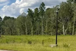 0 Colt Ct, Vidalia, GA 30474 - Photo 1
