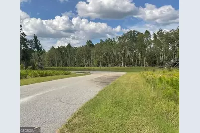 0 Colt Court, Vidalia, GA 30474 - Photo 3