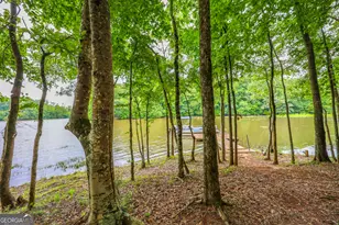 42 Deer Pointe Ct, Lagrange, GA 30240 - Photo 67