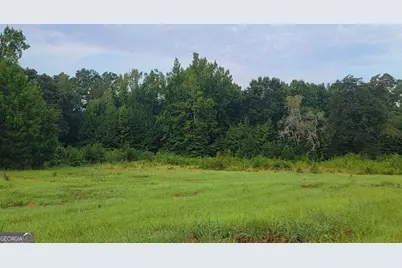 0 Bankston Rd., Meansville, GA 30256 - Photo 5