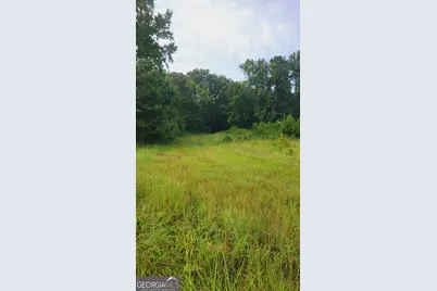 0 Bankston Rd., Meansville, GA 30256 - Photo 7