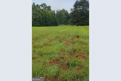0 Bankston Rd., Meansville, GA 30256 - Photo 3
