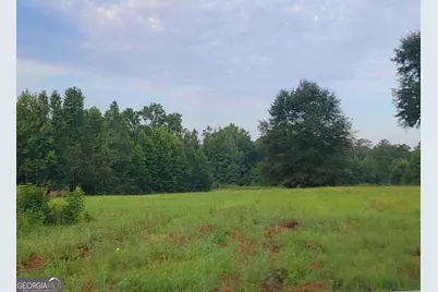 0 Bankston Rd., Meansville, GA 30256 - Photo 1