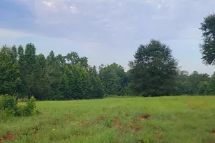 0 Bankston Rd, Meansville, GA 30256 - Photo 1