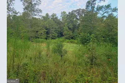 0 Bankston Rd., Meansville, GA 30256 - Photo 13