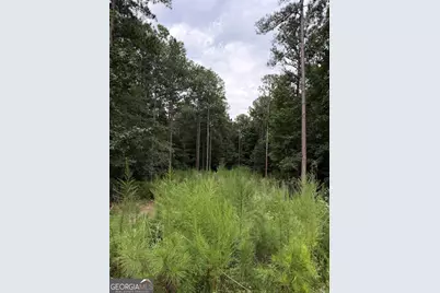 0 Spratlin Court, Hull, GA 30646 - Photo 3