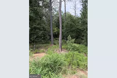 0 Spratlin Court, Hull, GA 30646 - Photo 5