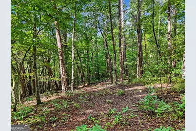 417 Kelly Mountain Road, Clarkesville, GA 30523 - Photo 5