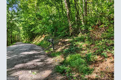 417 Kelly Mountain Road, Clarkesville, GA 30523 - Photo 21