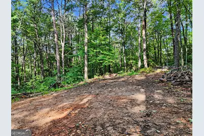 417 Kelly Mountain Road, Clarkesville, GA 30523 - Photo 11