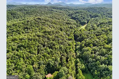 417 Kelly Mountain Road, Clarkesville, GA 30523 - Photo 13