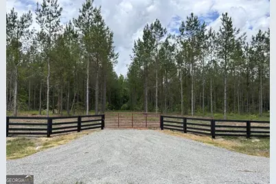 1437 Dewey Thomas Road, Dexter, GA 31019 - Photo 31