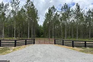 1437 Dewey Thomas Rd, Dexter, GA 31019 - Photo 31
