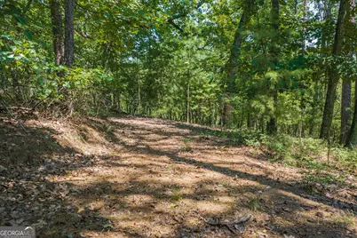694-695 Railey Ridge #694-695, Ranger, GA 30734 - Photo 9