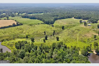 1291 Gray Horse Road, Greensboro, GA 30642 - Photo 39