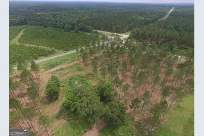 0 Whipples Crossing Lot 2, Dudley, GA 31022 - Photo 7