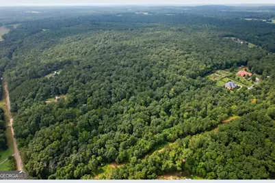 Lot 1 Flowery Branch Road, Kingston, GA 30145 - Photo 9