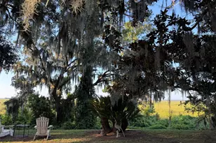 809 Fort King George Dr, Darien, GA 31305 - Photo 19