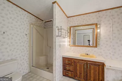 729 Reedsville Road, Clyo, GA 31303 - Photo 23