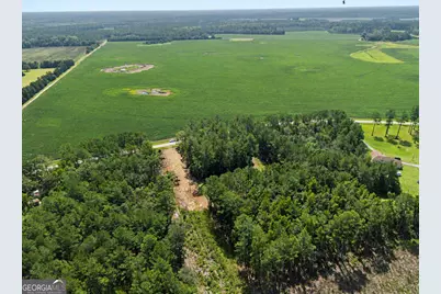 729 Reedsville Road, Clyo, GA 31303 - Photo 37