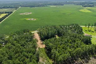729 Reedsville Rd, Clyo, GA 31303 - Photo 37