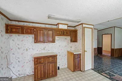 729 Reedsville Road, Clyo, GA 31303 - Photo 11