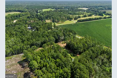 729 Reedsville Road, Clyo, GA 31303 - Photo 35