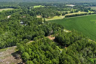 729 Reedsville Rd, Clyo, GA 31303 - Photo 35