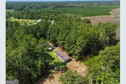 729 Reedsville Road, Clyo, GA 31303 - Photo 39