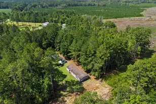 729 Reedsville Rd, Clyo, GA 31303 - Photo 39