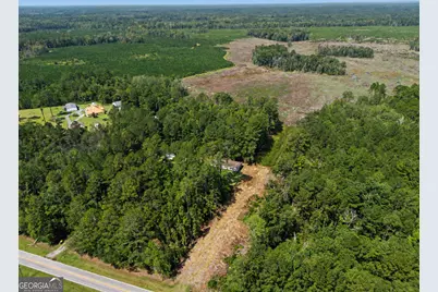729 Reedsville Road, Clyo, GA 31303 - Photo 31