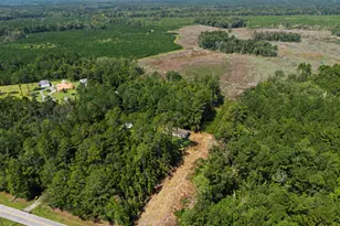 729 Reedsville Rd, Clyo, GA 31303 - Photo 31