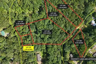 Lot 175 Mountain Crest Dr, Clarkesville, GA 30523 - Photo 1