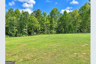 100 Spring Trail, Box Springs, GA 31801 - Photo 49