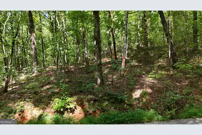Lot 182 Hillside Drive, Clarkesville, GA 30523 - Photo 3